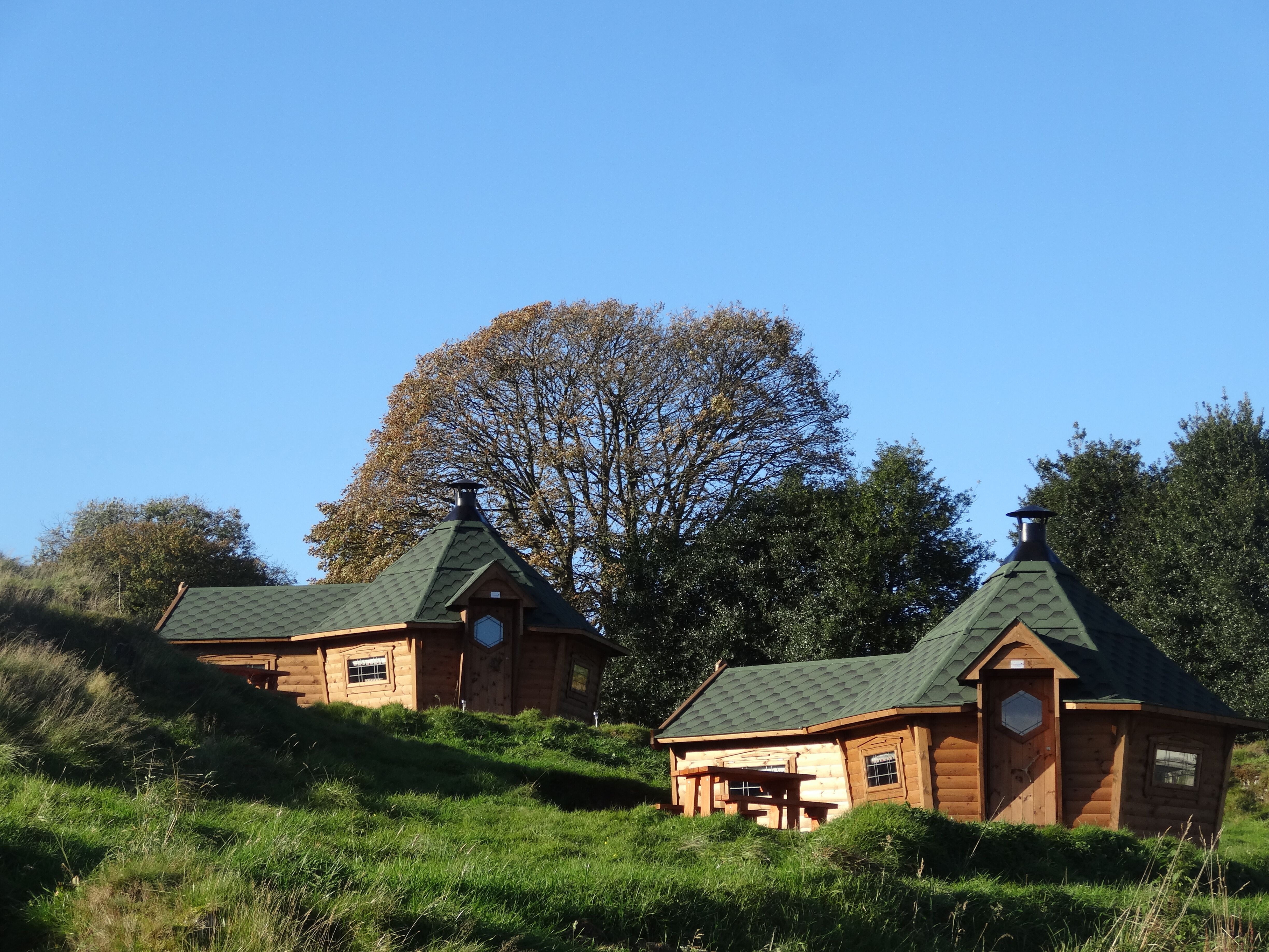 black beck farm camping cabins timber buildings on hillside with green roof and blue skies and tree in background